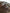 Dark Brown – 22
